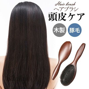 wAuV fB[X uV phuV Vv ؖ }bT[W  ؐ PA wAPA e@  v[g a 