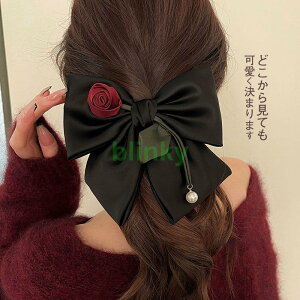 { ob^ 傫 Ղ Vv fB[X wAS ؍  Ǝ 킢   wAANZT[ 