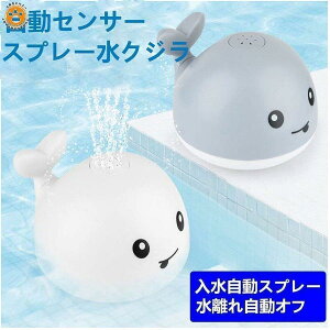 C    킢 Xv[ oX v[ q 킢 CV