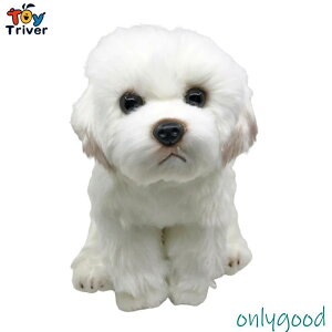 {?! }`[Y A v[g CeA IuWF  q  hbO l` LbY q  ybg ^