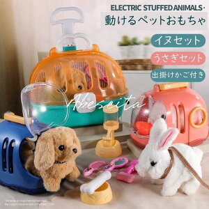 ʂݓgCv[hʃCkqav[g23456