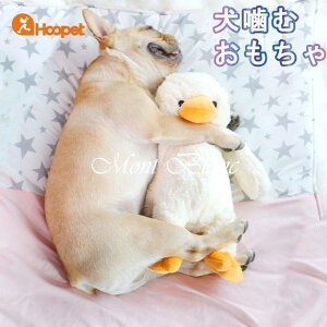    ʂ  v Ȃ S ^ ^  XgXU hM[} a v[g efB