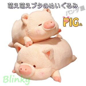 ʂ Ԃ u^   ܂   NbV q a LO v[g 40cm 50cm 60cm