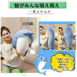 ʂ݃NW ~  rbO     NbV X j  蕨 75cm