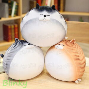 L ʂ ۂ _炩YQ  C lR NbV 35cm