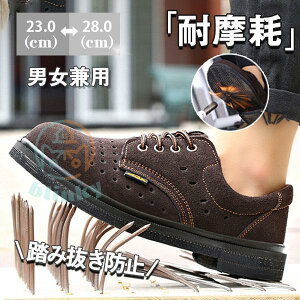 SC Xj[J[ Y fB[X jp |c bV JWA v Z[teB[ ݔh~ ƌC  ʋC 