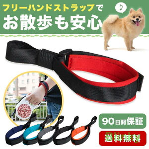 Lk[hpXgbv t[nhXgbv p ꎞW 肪g S [h{̕ʔ Xgbv̂