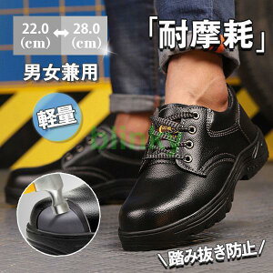 SC Xj[J[ Y fB[X jp |c ϖ ubN Z[teB[ ݔh~ ƌC lG ʋC Ȃ 