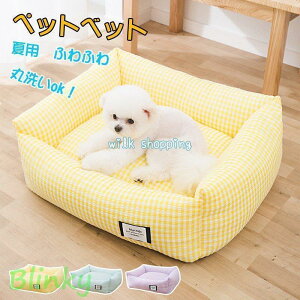  xbg  􂦂 Ђ ⊴  ybgxbg ybg\t@[ ėp ܂  Q Lxbh xbg ^ ^ ڐG⊴