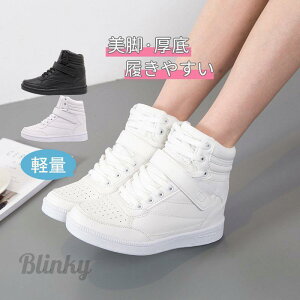 Xj[J[ fB[X  Cq[ nCJbg ₷ I[V[Y [XAbv nC\[ _bhXj[J[ ₷ ɂȂ y