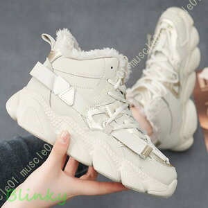 Xm[u[c fB[X [XAbv hC ~C N ~pu[c y h V[gu[c JWA C ȌC ʋ ʊw ϋv h JΉ