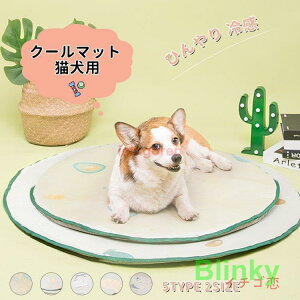 ybgxbg Ђ N[}bg ybgpi  L p}bg ⊴  ~^ ybgV[g MǑ΍ AEghA