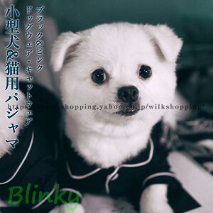 hbOEFA LbgEFA pW}   L ^ m Q ybg [EFA R[M[ gCv[h ybgpi