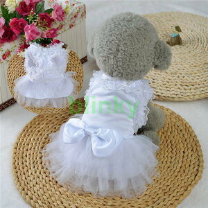   ̕ pi hbOEFA EFfBOhX s[X [X p[eB[hX  ybgEFA ybgObY {