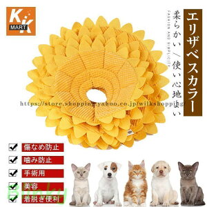 GUxXJ[ GJ p@Lp ybgpi@pی  p RۏL p㕞 r r h~  畆 p e D