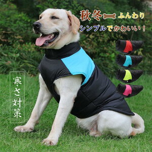  p  ~ h ȓ^Ngbv ybgp pi  m o| U Jt ڗ ΍ V