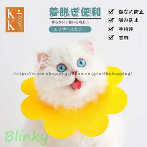 4_Zbg GUxXJ[ GJ p@Lp ybgpi@pی  p RۏL p㕞 r r h~  畆 p e