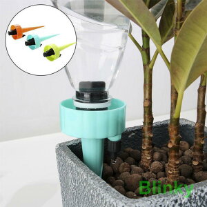 Lbv 傤   蓖 @ UVXe 6{Zbg _J[ Ή