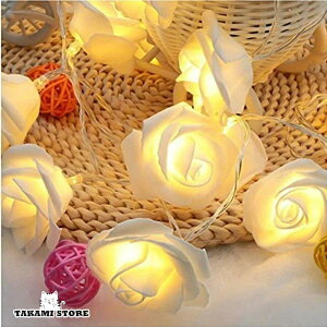 C~l[VLED CgXgOCg 20 2m o d ͋C O z[p[eB[ o[/Xg j  뉀 K[f