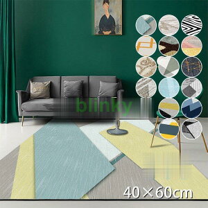 ���O ���_�� �_�炩�� ������� �l�p ���邢 ����~�� �}�b�g �k�� �J�[�y�b�g �{�[�_�[ �w�����{�[�� �q������ ���� 40cmX60cm