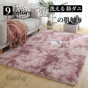 ラグ カーペット 洗える おしゃれ オールシーズン 防ダニ ラグマット 滑り止め付 フランネル ホットカーペット 床暖房対応 滑り止め 秋 冬 絨毯 抗菌