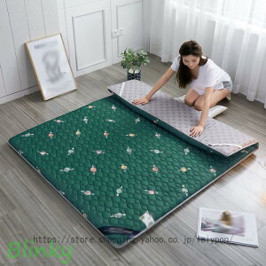 ~pbh ~zc VO 􂦂 z ʋC }bgX O܂ y  ȓ CeBOH Yh~Soht ~pbh