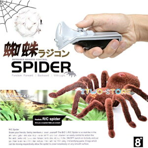  N WR av[g j̎qWR XpC_[ LbY hbL  TvCY A 