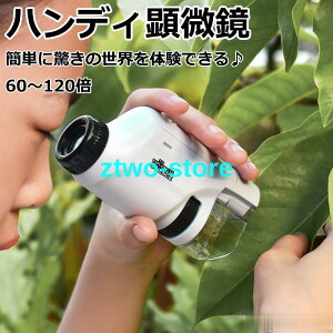   q  nfB 60?120{ w R Oώ@  LEDCg т傤 RpNg ώ@