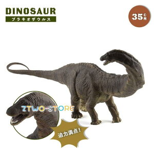 ߋ  uLITEX 35cm u o[Xf[  j̎q ǔ Birthday _Ci\[ WI WVbN I v[g