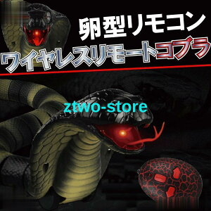  Ru wr WR av[g j̎q hbL  TvCY A