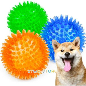  p{[ ނ ̏o邨 ʂ mߋ VRS e͐Q ϋv XgX ^s Pp (3Zbg)