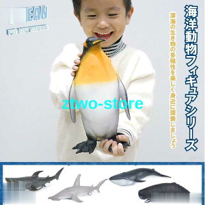  ^ tBMA Cm kɓ zIWU }bRENW VNU ViKXNW yM   v[g CeA