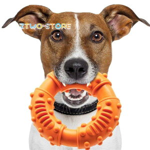   ̂ S̃h[iĉ ނ pނ ^s  S