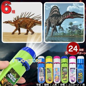 ߋ vWFN^[Cg XeBbN [Ver2[ 24p^[ S6 tB^Cv  c mߋ n AQ qp NX}X