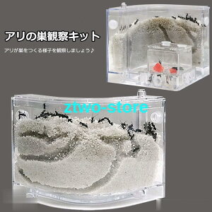  Ȃ@ώ@Lbg@P[X@@R w  a Zbg Zbg ώ@@ċx݁@wKp