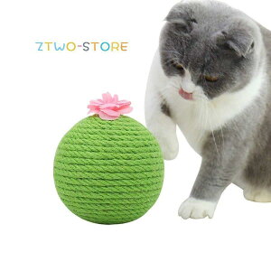 L ܂Ƃ T{e` VRTCU Lp ܖ ߂Ƃ ybg   {[ ^s Ƌی