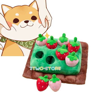 ybg p m C`S m[Y[N Pѕz a}bg kpbh koP}bg ۉa ̉aXL ^s/XgX/s