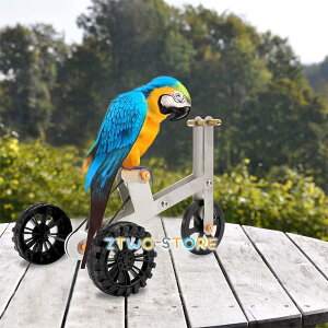 CeWFXg[jOIEpY]ԂybgIEoCNᒹ^ybgIE炨჈E