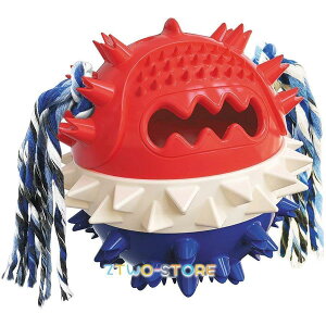 p ނ {[ ʂ mߋ [vt a  ^sΉ XgX Pp Vїp  ϋv