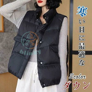 pW} s[X OJ fB[X Te [EFA KE iCgEFA 2_Zbg t  H ~ lOWF O [X