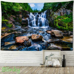 ^yXg[  EI[fR[V X WO t CeA @\  Ǌ| rO[ xbh[ C] Ɣ_