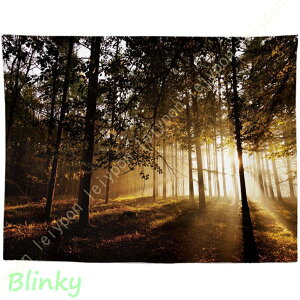 gt H H̖ ^yXg[ X̌ Ǌ|^yXg[ 唻 ݂  |X^[ Ԏd؂ _  H̗t CeA Q J[e Ǌ|