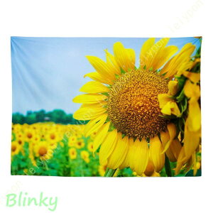 �^�y�X�g���[ �Ђ܂�� �Ԃ̊C ���� ���z �C���e���A �t�@�u���b�N�|�X�^�[ ������� �Ǌ|�� �B�e�p �r�f�I��c �w�i ���_���A�[�g �ʐ^ �� ���� ���X