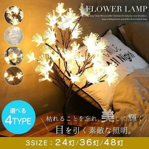 X^hCg led k   Q rO  ԐڏƖ _ e[uv NX}X