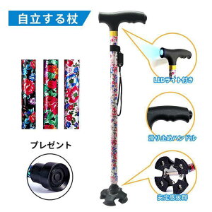    LEDCgt   y Lk s⏕ fB[X  XebL   X Lk^ ~ 2̎gp@