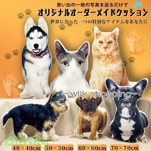 IWi I[_[Ch NbV ʐ^ A Mtg a v[g  ̂̎ʐ^ ̋L^  L LO X^[ ̓