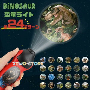 vWFN^[Cg mߋ   _Ci\[ 24p^[ vWFN^[ c q ۈ牀 NX}X a v[g