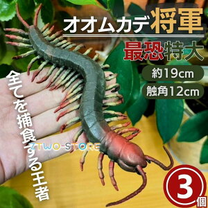 IIJfR 3Zbg т tBMA u ߋ   p[eB[ObY hbL ObY ǂ ӂ W[N a \񏤕i