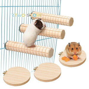 6Zbg  R[^ nX^[  CR ~܂ ނ ̂ ybgpi 