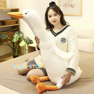 ʂ Aq _bN NbV  1.2m   Aj} 킢 `[~O  a NX}X Mtg TvCY